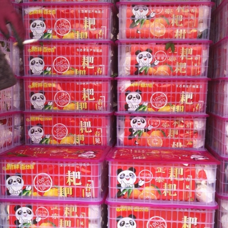 春见耙耙柑承接电商果市场果外贸订单欢迎咨询