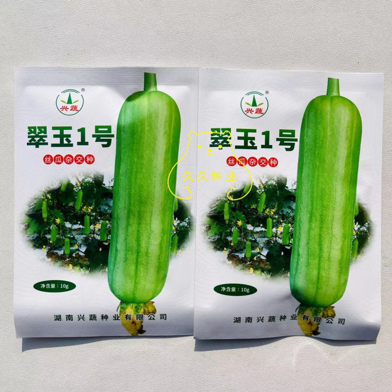兴蔬翠玉1号丝瓜种子油亮光滑果肉紧实光皮绿白丝瓜种籽
