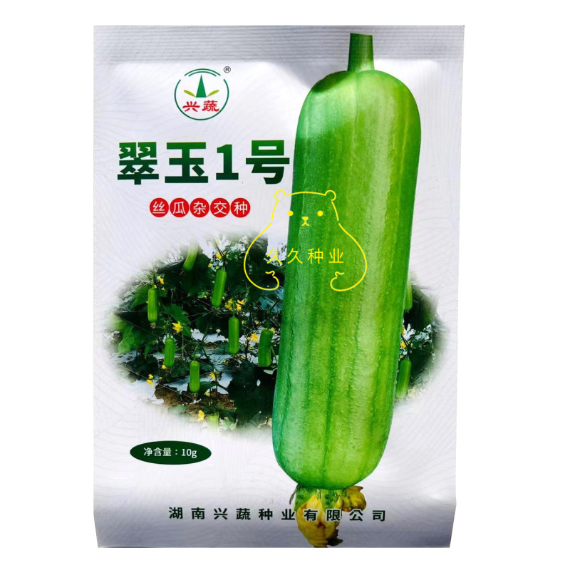 兴蔬翠玉1号丝瓜种子油亮光滑果肉紧实光皮绿白丝瓜种籽
