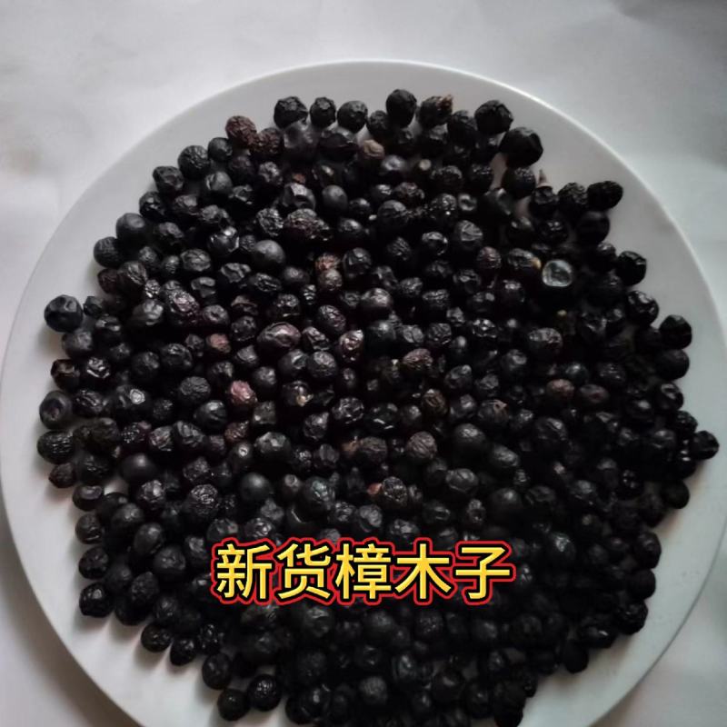 2025新款干货樟树子带皮新鲜晒干香樟籽樟木香樟子鱼食养