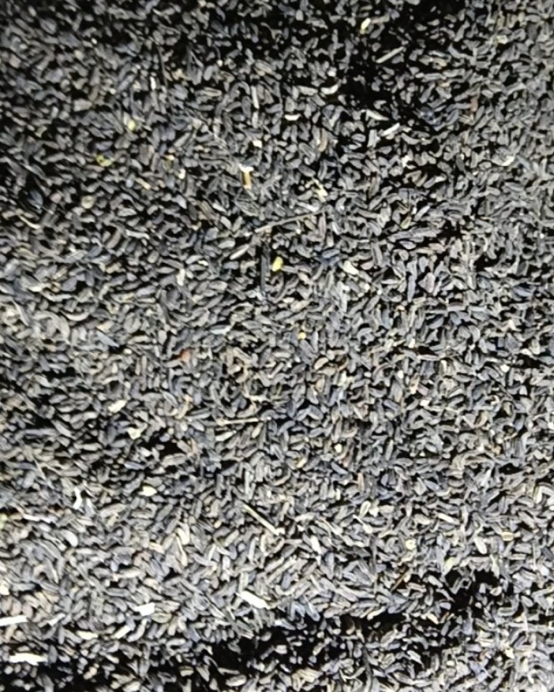 柴胡种子，