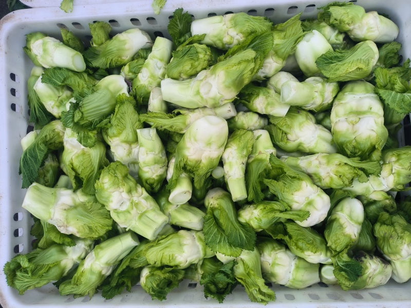 精品儿菜