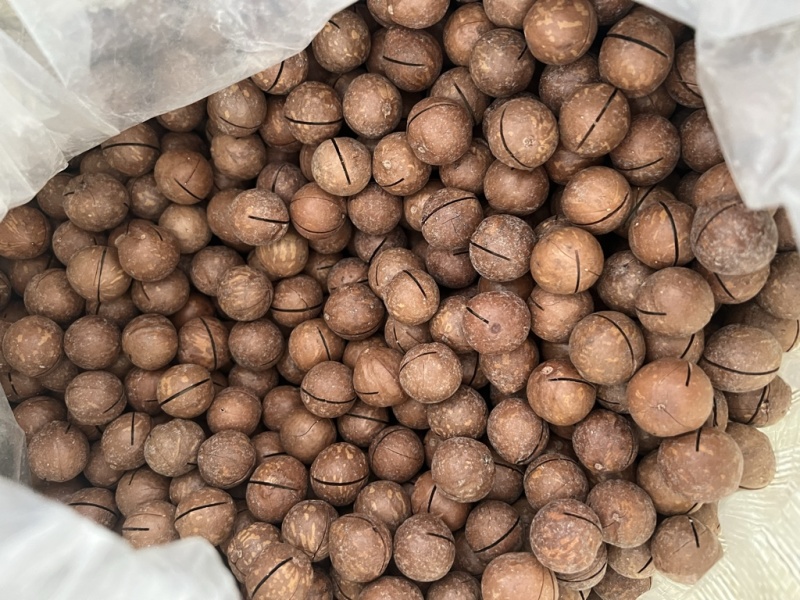 奶香味夏威夷果22-25规格