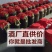 山西杏花村汾酒酒厂直销高粱大曲原浆酒2.5L