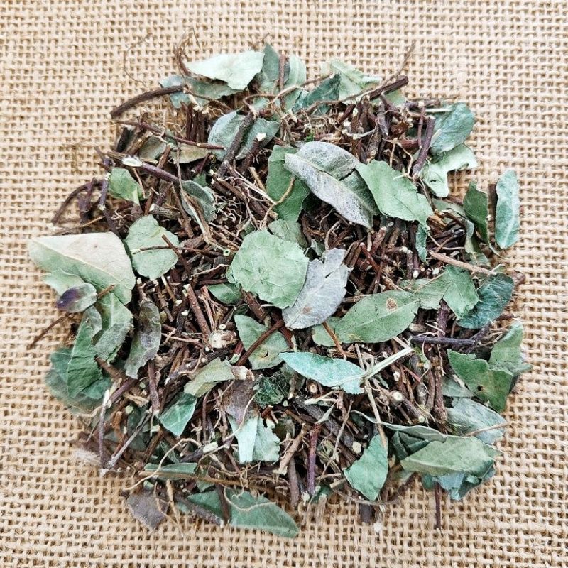 络石藤中药材络石藤络石藤白花藤络石藤络石藤络