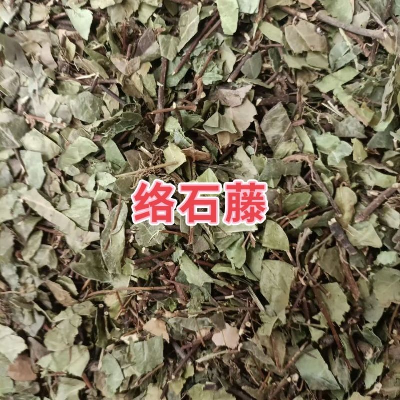 络石藤中药材络石藤络石藤白花藤络石藤络石藤络