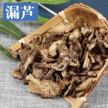 漏芦中药材正品漏芦根中草药狼头花康养斋中药材