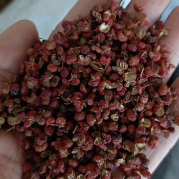 电商实体均可使用，大量现货，价格美丽，质量保证