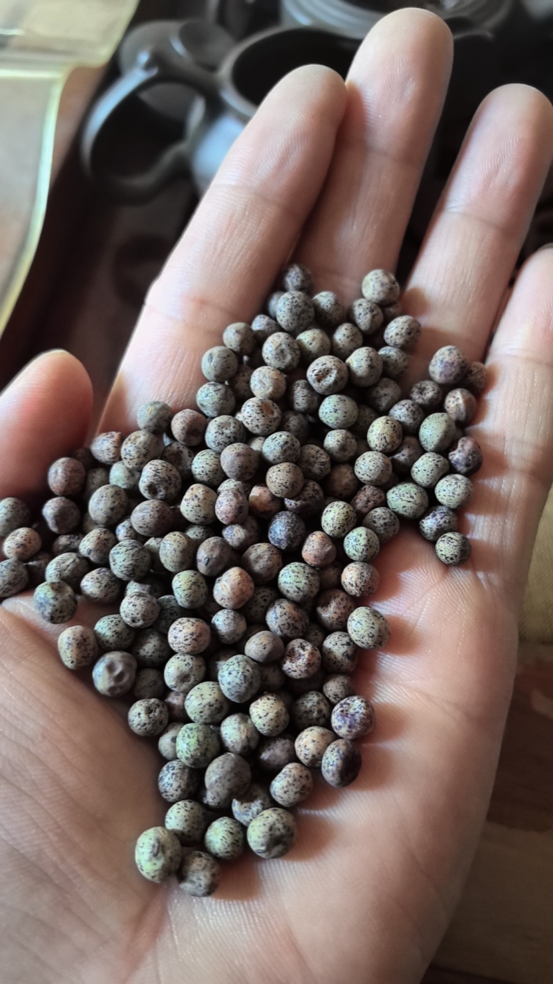 芽苗菜，豌豆苗，麻豌豆，二号麻豌豆，大叶豌豆，花生，绿豆