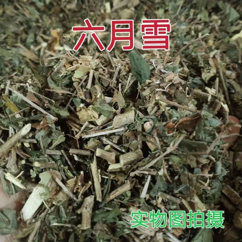 六月雪中药材冷背六月雪正品中草药康养斋中药材
