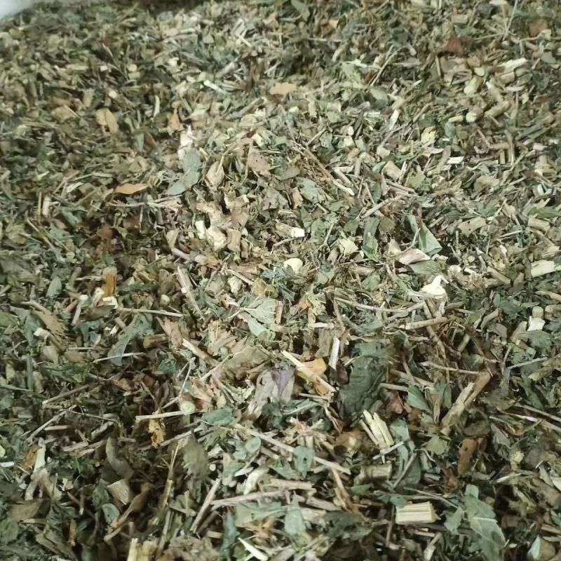 六月雪中药材冷背六月雪正品中草药康养斋中药材