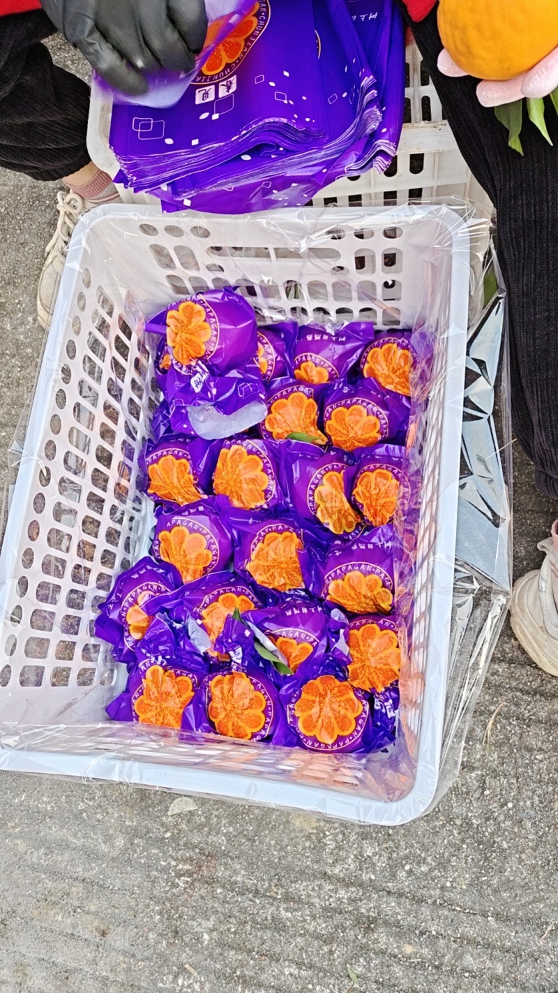 (热卖)春见耙耙柑，颗粒饱满，纯甜化渣，无籽无核，汁水足