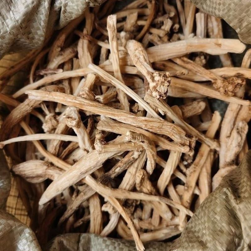 金铁锁中药材冷背中药材独丁子对叶七独钉子