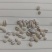 进口欧洲薏仁米