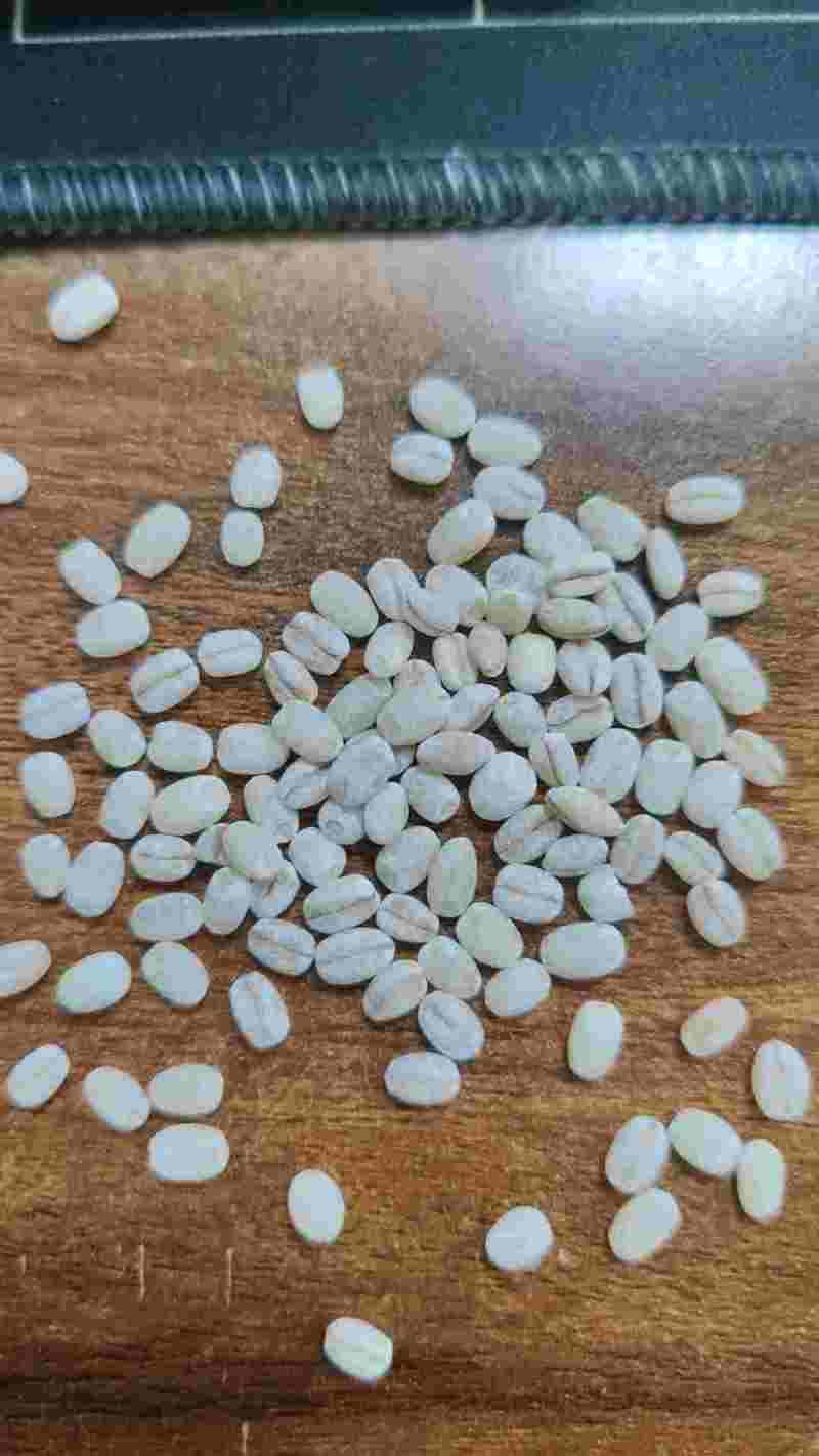 进口欧洲薏仁米