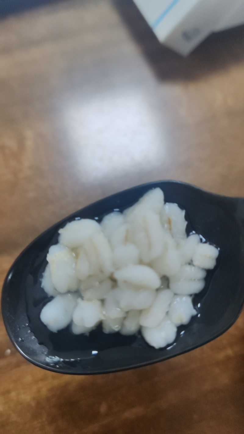 进口欧洲薏仁米