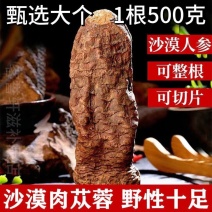 新疆肉苁蓉精选野生整根新货批发包邮支持一件代发
