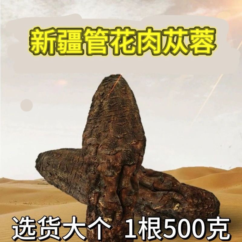新疆肉苁蓉精选野生整根新货批发包邮支持一件代发