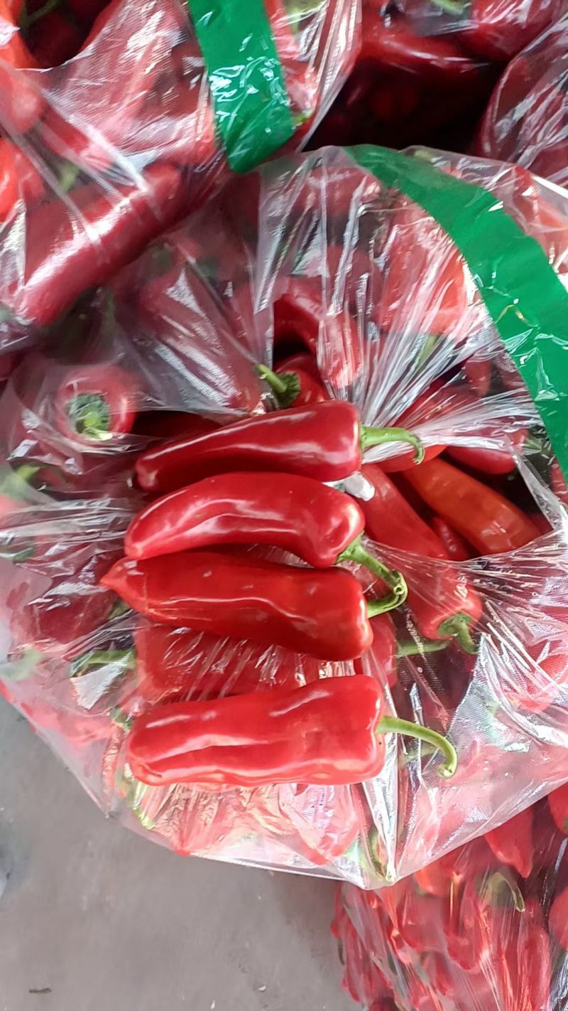 【红辣椒】江苏红椒/红青椒/社区团购电商批发对接全网