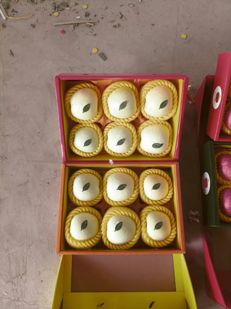 辽宁精品黄元帅苹果/苹果/精品/全国供应
