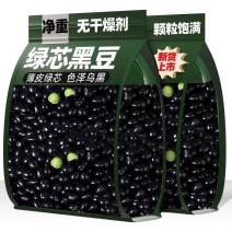 东北新优质绿芯黑豆农家芯黑豆浆可发芽豆浆批发