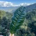 茶叶散茶古树茶生普2025年春茶批发白莺山茶农自销古茶树