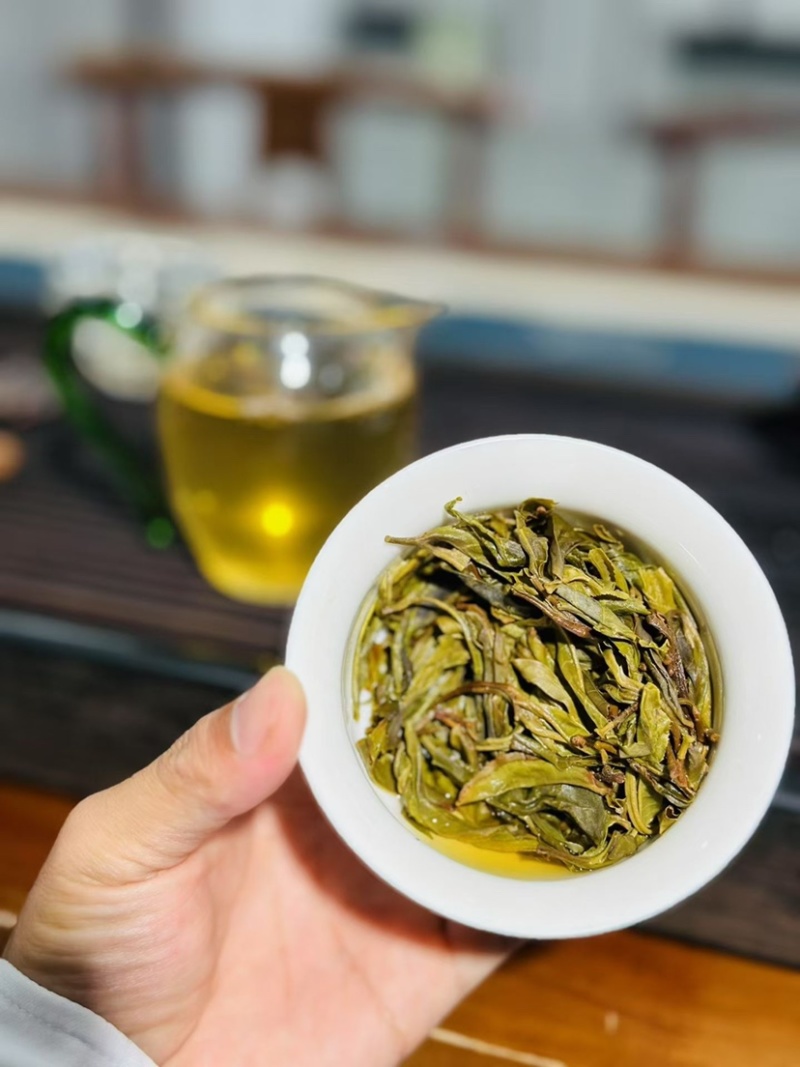 茶叶散茶古树茶生普2025年春茶批发白莺山茶农自销古茶树