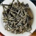 茶叶散茶古树茶生普2025年春茶批发白莺山茶农自销古茶树