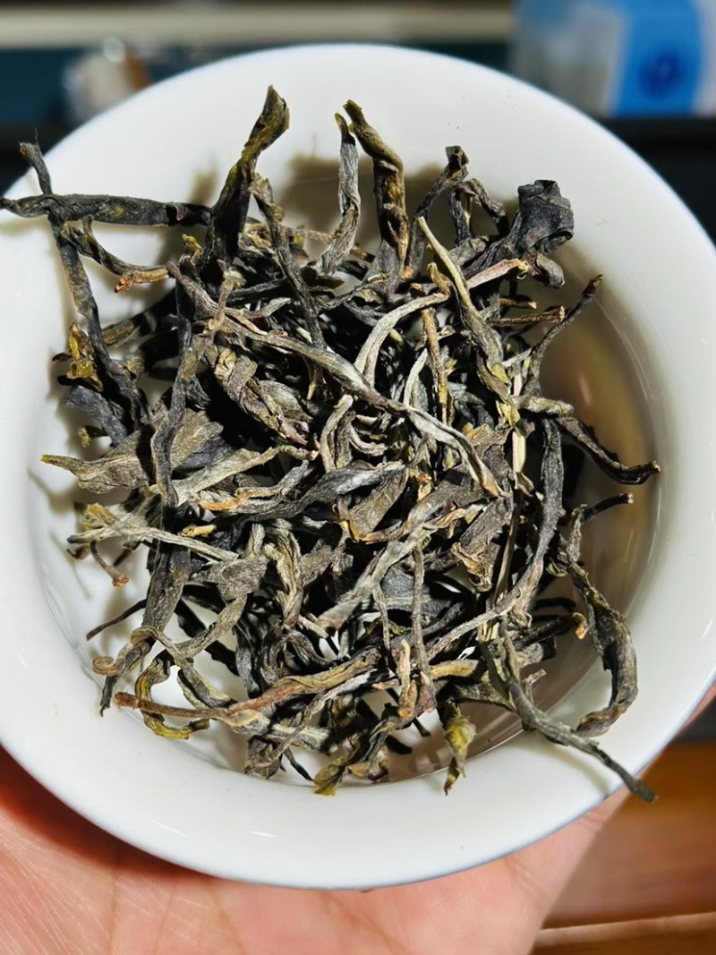 茶叶散茶古树茶生普2025年春茶批发白莺山茶农自销古茶树