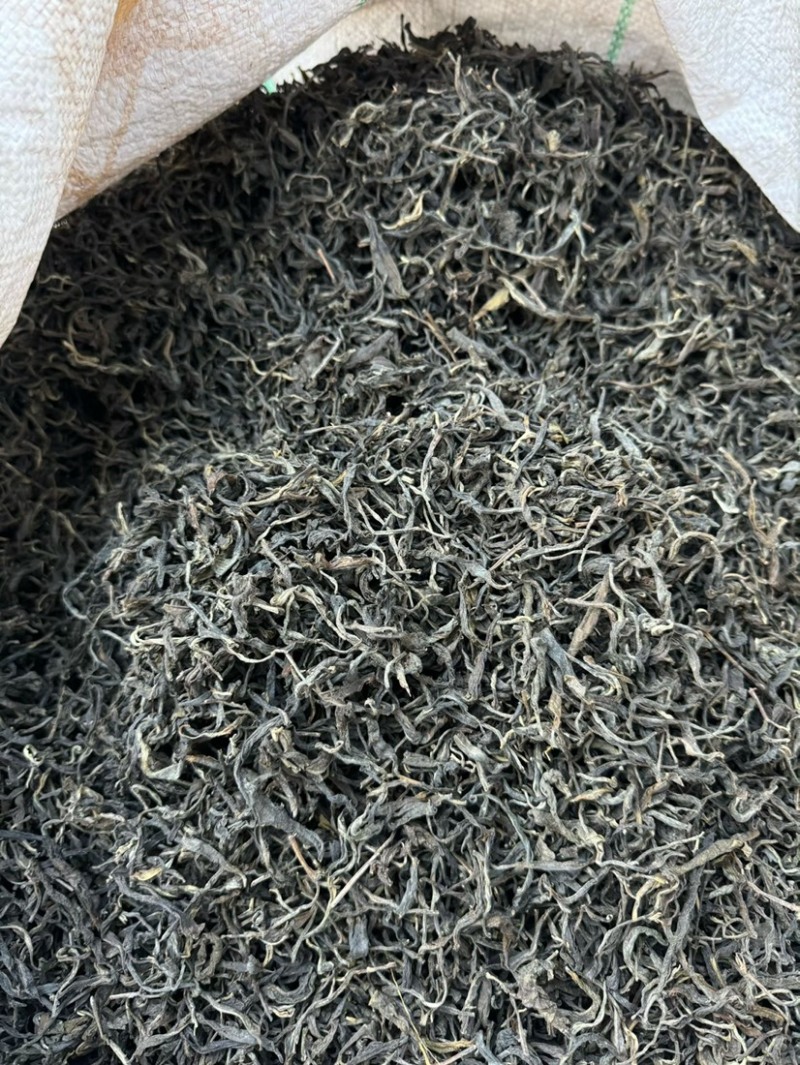 茶叶散茶古树茶生普2025年春茶批发白莺山茶农自销古茶树