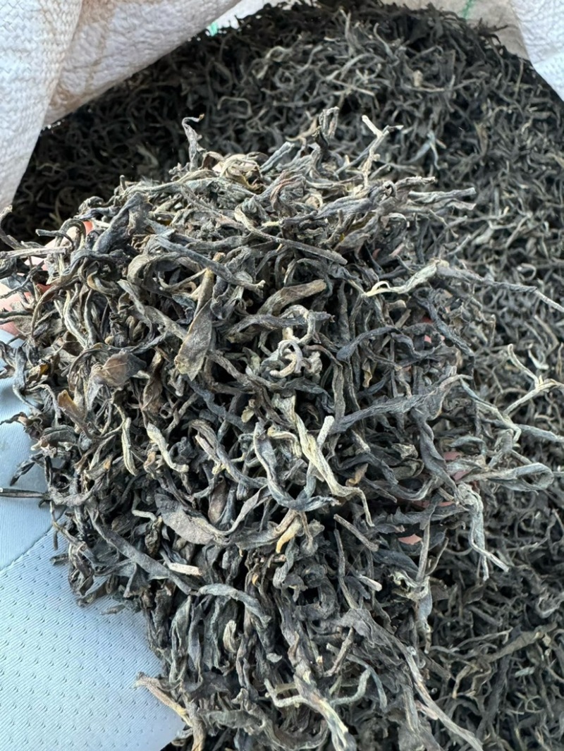 茶叶散茶古树茶生普2025年春茶批发白莺山茶农自销古茶树