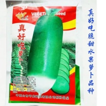 真好吃青皮萝卜种子春秋播种不糠心抗病耐储运高产水果萝卜种