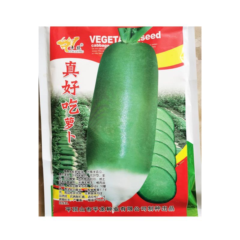 真好吃青皮萝卜种子春秋播种不糠心抗病耐储运高产水果萝卜种