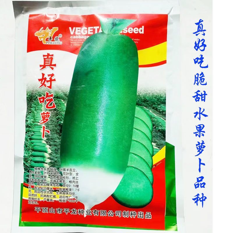 真好吃青皮萝卜种子春秋播种不糠心抗病耐储运高产水果萝卜种