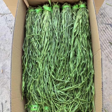 精品云南贡菜干大量接单货源充足价格美丽欢迎来电合作