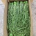 精品云南贡菜干大量接单货源充足价格美丽欢迎来电合作