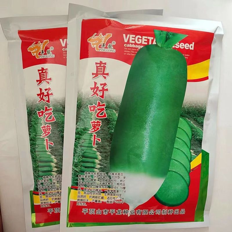 真好吃青皮萝卜种子春秋播种不糠心抗病耐储运高产水果萝卜种