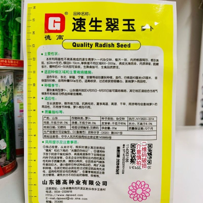 真好吃青皮萝卜种子春秋播种不糠心抗病耐储运高产水果萝卜种