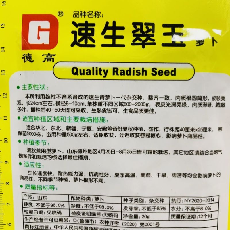 真好吃青皮萝卜种子春秋播种不糠心抗病耐储运高产水果萝卜种