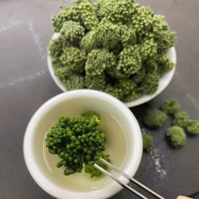 云南文山三七花批发500克田七茶特产级正品三七花
