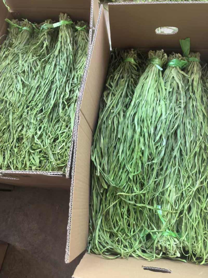 【实力】贡菜云南贡菜口感好价格优实力供应欢迎来电
