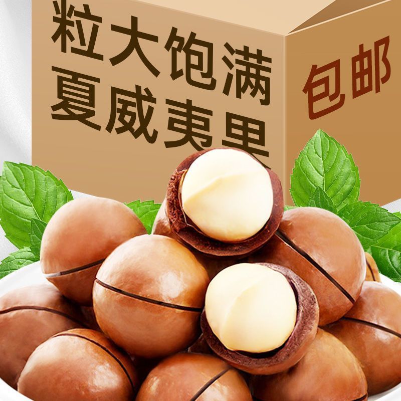 新货夏威夷果大颗粒支持电商一件代发批量拿货