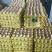 33.35单色双色精品粉蛋，量大
