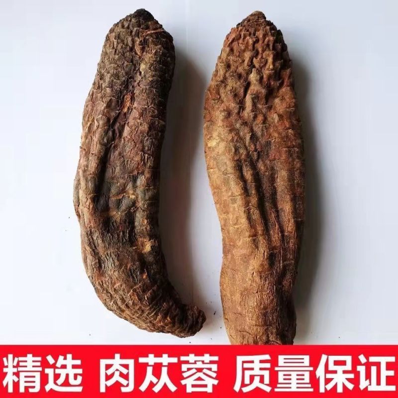 肉苁蓉整根新疆管花正宗中药材肉苁蓉个切片淫羊藿正品批发