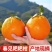 四川耙耙柑眉山耙耙柑，四川眉山春见耙耙柑产地直供大量有货