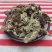 独一味叶中药材独一味叶新鲜干货***独一味叶子