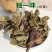 独一味叶中药材独一味叶新鲜干货***独一味叶子