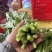 板兰根青菜