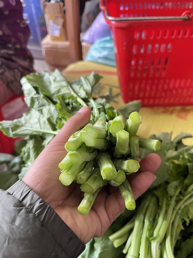 板兰根青菜