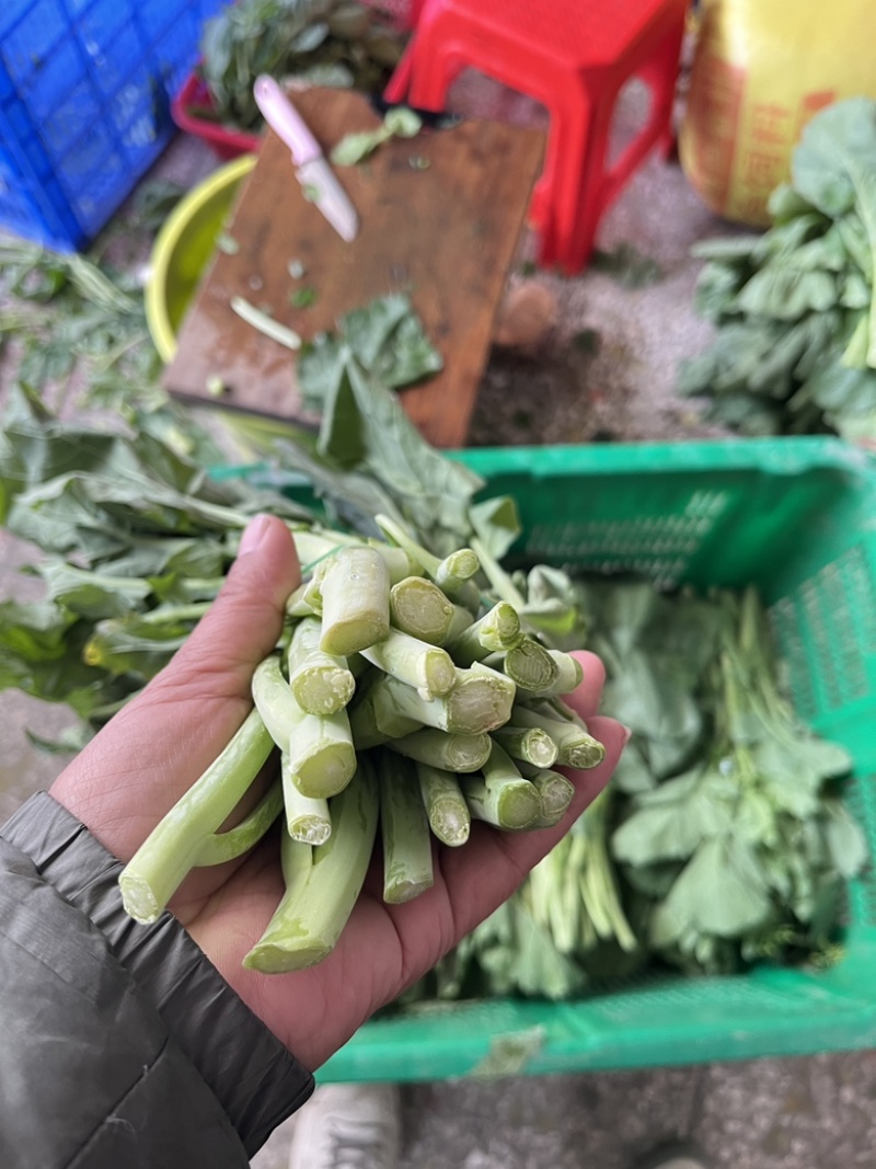 板兰根青菜